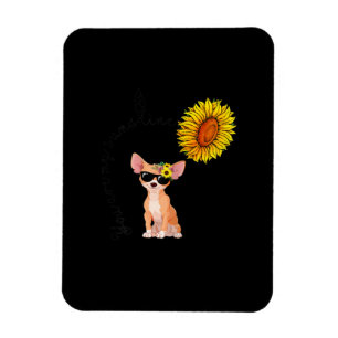 Du bist mein Sonnenschein Chihuahua Sonnenblume Ch Magnet