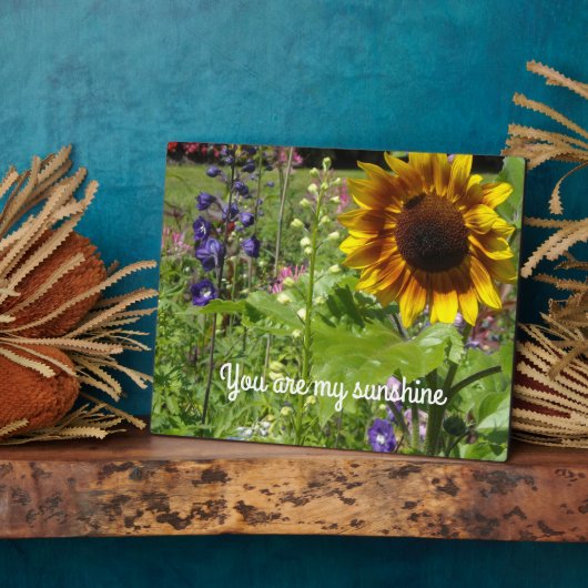 Du bist mein Sonnenschein Fotoplatte (Seite)