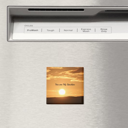 Du bist mein Sonnenschein Magnet (In Situ (Geschirrspüler))