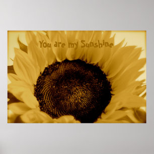 Du bist mein Sonnenschein Poster