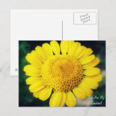 Du bist mein Sonnenschein! Postkarte (Vorne/Hinten)