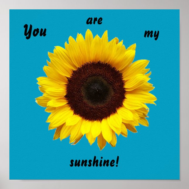 Du bist mein Sonnenschein! Sonnenblumenposter Poster (Vorne)