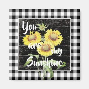 Du bist mein Sonnenschutzmagnet Magnet