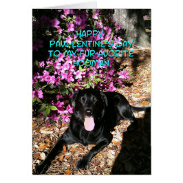 Du bist meine Lieblings-Hooman-Valentinenkarte