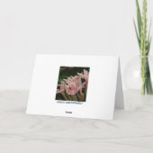 Du bist meine Rock Grußkarte Feiertagskarte (Rückseite)