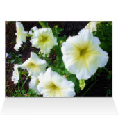 DU BIST MEINE VALENTINE SCHAUTY-Karte (Innenansicht Horizontal (Oben))