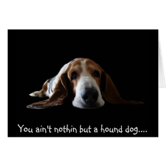Du bist nicht nur ein Hundehund