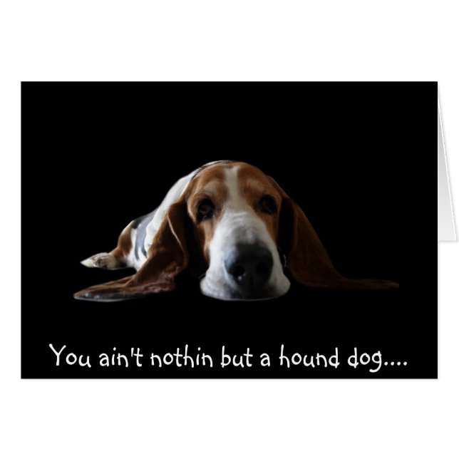Du bist nicht nur ein Hundehund (Vorderseite (Horizontal))