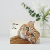 Du bist Niedlich! Postkarte (Stehend Vorderseite)