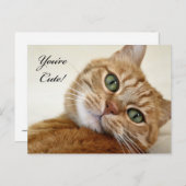 Du bist Niedlich! Postkarte (Vorne/Hinten)