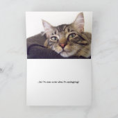 Du bist niedlich, wenn du wütend bist... karte (Innenseite)