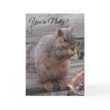Du bist Nutty und ich mag es | Funny Squirrel Pic