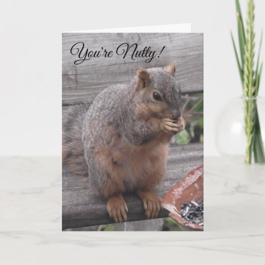 Du bist Nutty und ich mag es | Funny Squirrel Pic Karte (Vorderseite)