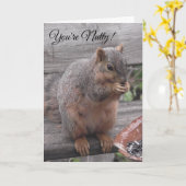 Du bist Nutty und ich mag es | Funny Squirrel Pic Karte (Gelbe Blume)