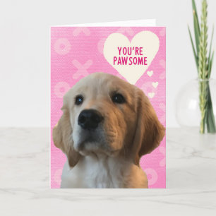 Du bist PAWSOME Golden Love Valentinstagskarte Karte