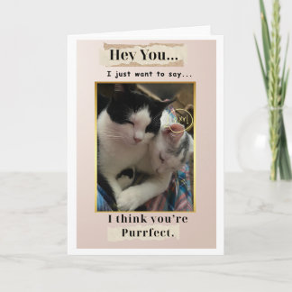 Du bist purr-fekt! karte