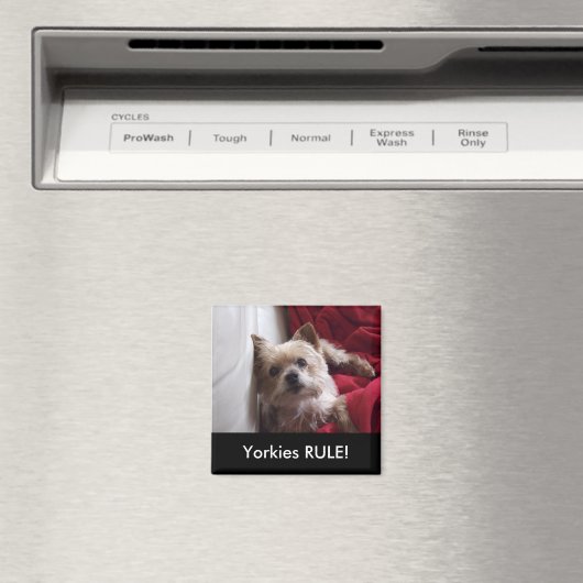 Du bist RULE! Kühlschrankmagnet (In Situ (Geschirrspüler))