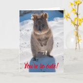Du bist so Niedlich Quokka am Strand Valentine Karte (Gelbe Blume)