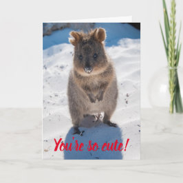 Du bist so Niedlich Quokka am Strand Valentine Karte