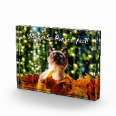 Du bist so perfekt | Kitten Foto | Akrylblock (Rechts)