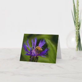 Du bist süß wie Honig grüßen Karte