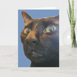 Du bist wie alt? Alles Gute zum Geburtstag Karte
