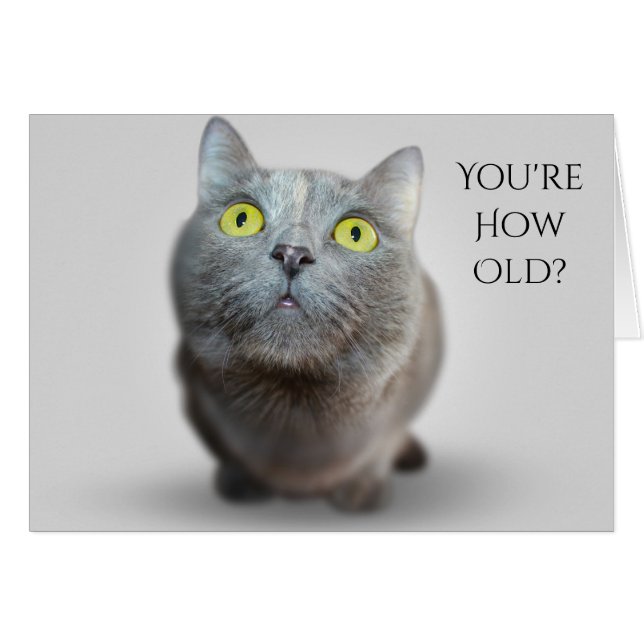 Du bist wie alt? Catty Birthday Card (Vorderseite (Horizontal))