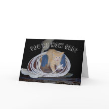 Du bist wie alt? Funny Cat Geburtstagskarte