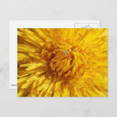 Du brauchst ein bisschen Gelb in deinem Leben Postkarte (Vorne/Hinten)