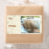 Du bringst einen sonnigen Schrei (Insitu)