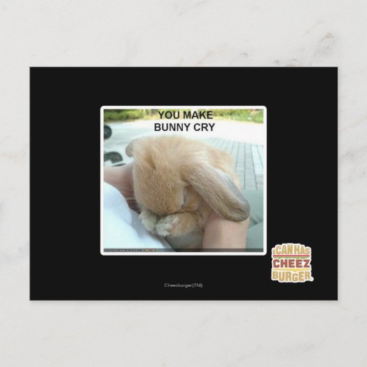 Du bringst einen sonnigen Schrei Postkarte (Vorderseite)