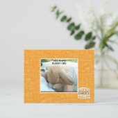 Du bringst einen sonnigen Schrei Postkarte (Stehend Vorderseite)