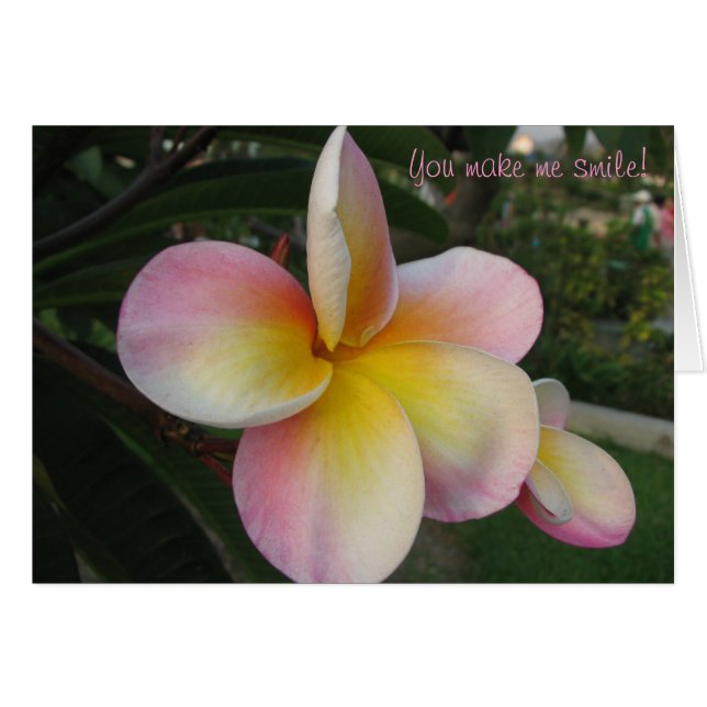 Du bringst mich zum Lächeln! (Vorderseite (Horizontal))