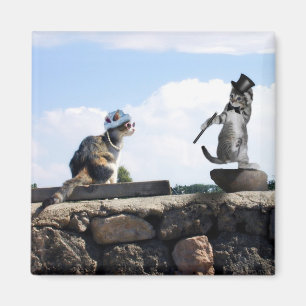 Du bringst mir das Gefühl zu tanzen! Magnet