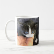 Du erstaunst mich! Katzen-Kaffeetasse