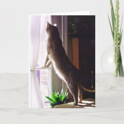 Du fehlst mir! karte (Vorderseite)