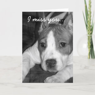 Du fehlst mir pitbull Grußkarte Karte