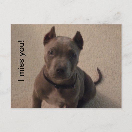 Du fehlst mir! postkarte (Vorderseite)