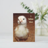 Du fehlst mir! Sad Baby Chick Postkarte (Stehend Vorderseite)