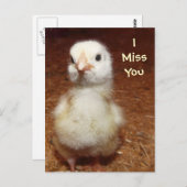 Du fehlst mir! Sad Baby Chick Postkarte (Vorne/Hinten)