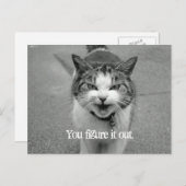 "Du findest es heraus" Crabby Cat Postkarte (Vorne/Hinten)