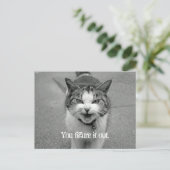 "Du findest es heraus" Crabby Cat Postkarte (Stehend Vorderseite)