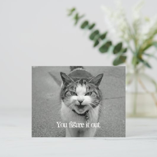 "Du findest es heraus" Crabby Cat Postkarte (Stehend Vorderseite)