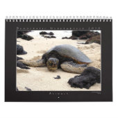 DU-Fotografie-Gruppen-Kalender 2010 Kalender (Titelbild)