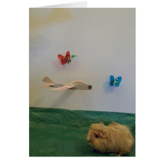 Du füllst mein Leben mit Launen (Vorne)