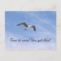 Du got diesen schönen Vogel Motivierend fliegen