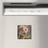 Du hast das Got! Kätzlicher Magnet (In Situ (Geschirrspüler))