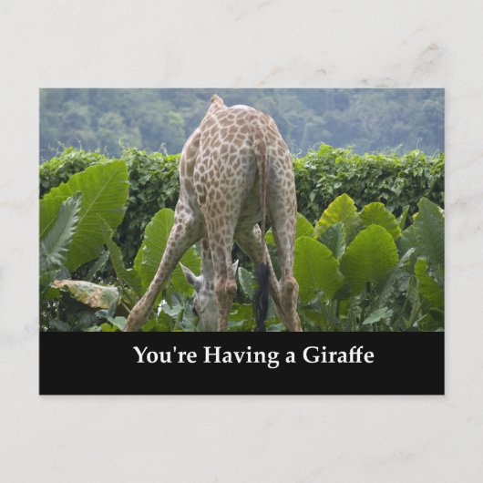 Du hast eine Giraffe! Postkarte (Vorderseite)
