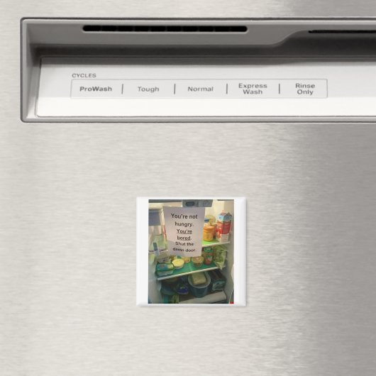 Du hast keinen Hunger Magnet (In Situ (Geschirrspüler))