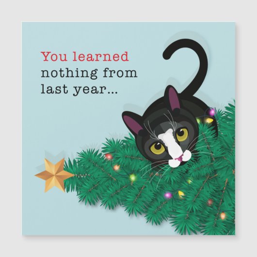 Du hast letztes Jahr nichts gelernt!! Magnetkarte (Vorderseite)